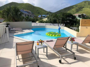 beautiful suite s8, pool, sea view, pinel Island